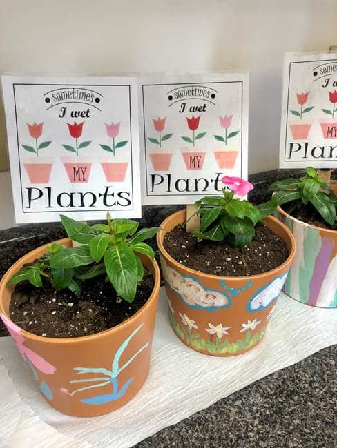Earth Day Planted pots